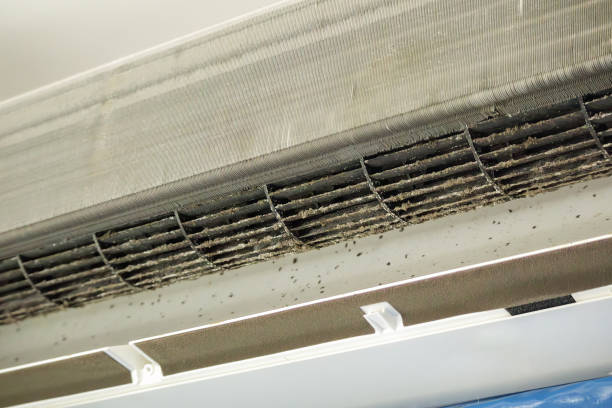 Emergency Air Duct Cleaning in FL